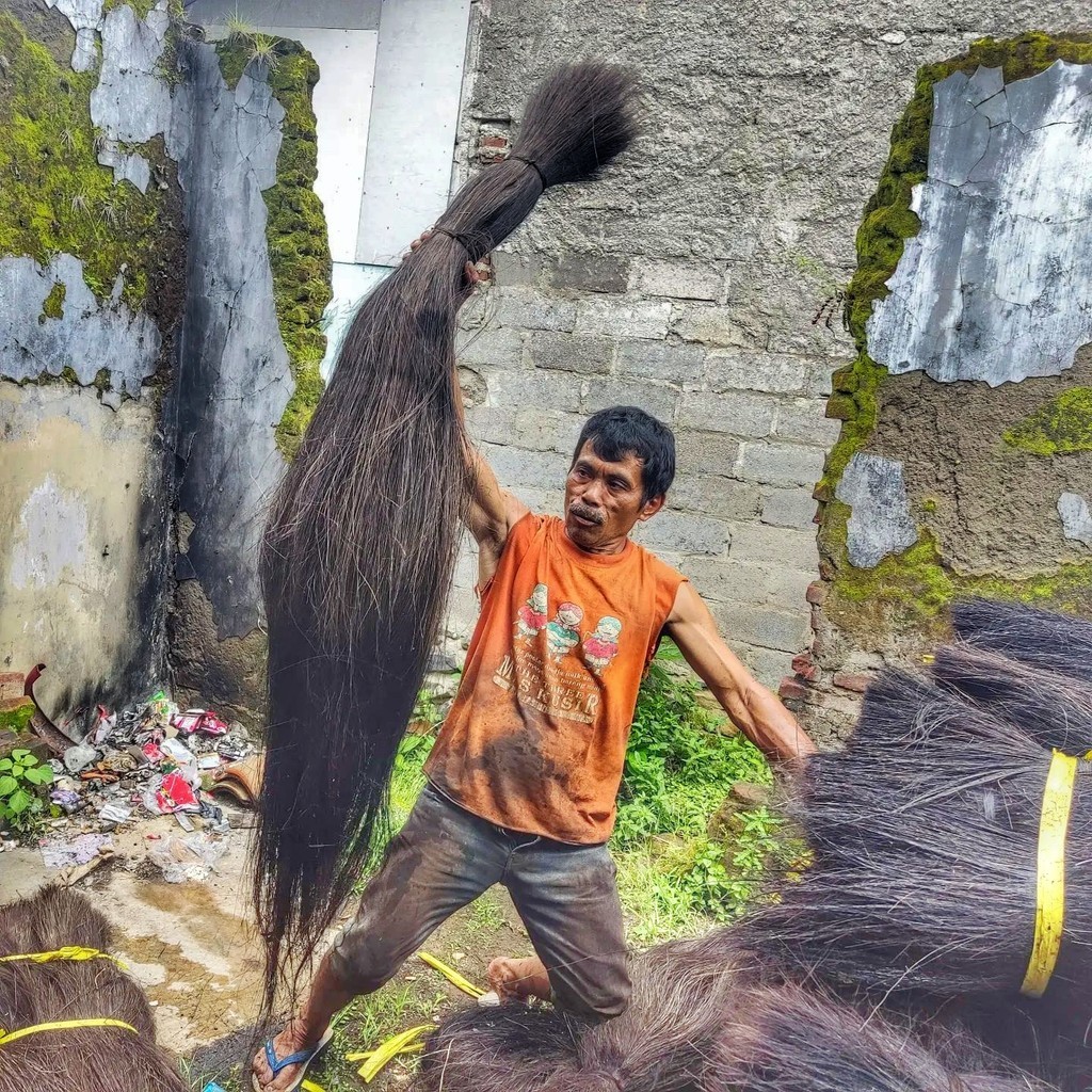 Original Ijuk aren tebu super panjang/ijuk aren panjang untuk kerajinan/ijuk bahan sapu