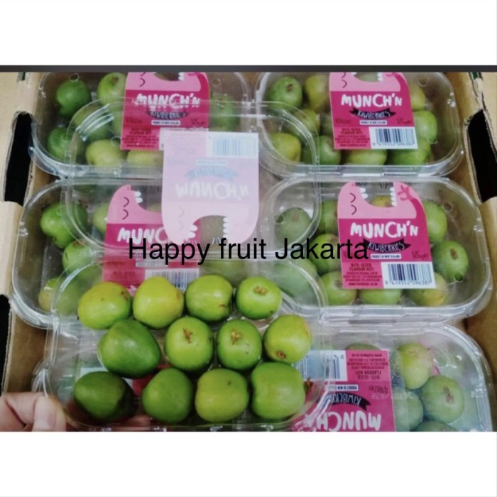 

Kiwi berrry manis | Buah kiwi berry New zealand pack 125gr