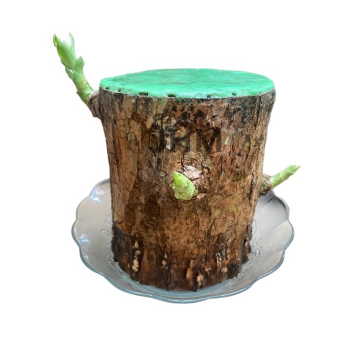 

Diskon BRAZILIAN WOOD JUMBO BERTUNAS DIAMETER 7-12CM - Dm 7-8 cm