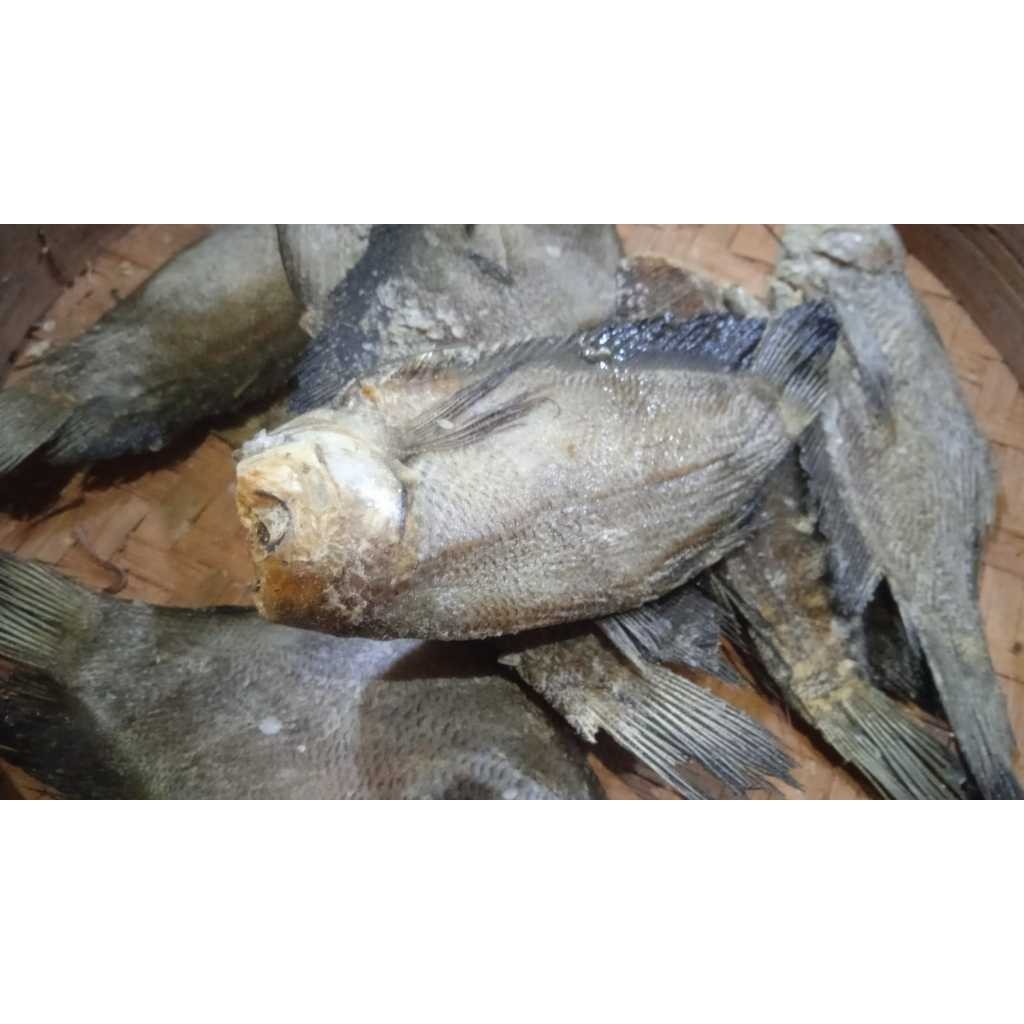 

Ikan Asin sepat