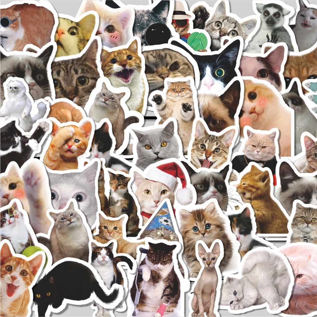 

Stiker Cutting Pack Stiker Hewan Funny Cat/Kucing Isi 100Pcs Series Aesthetic Lucu Keren Untuk Koper Bahan Vynil