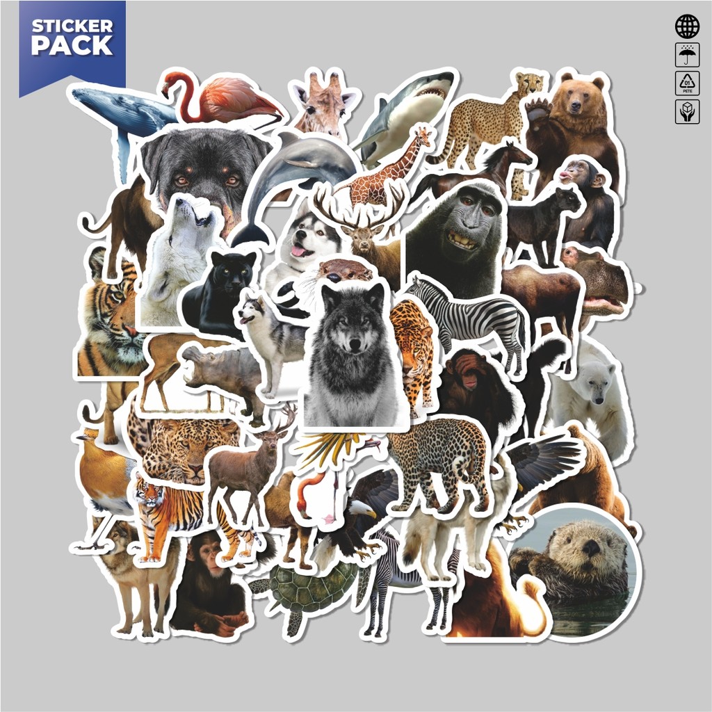 

[100PCS]Stiker Pack Stiker Hewan Hewan/Animal Aesthetic Vinyl Anti Air Dekorasi Sticker Laptop Buku Journal Koper Helm Casing HP Gitar Helm Skateboard