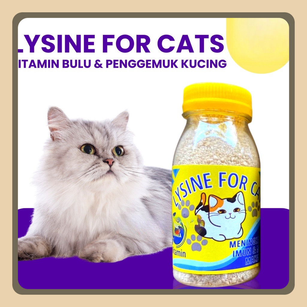 Vitamin Penggemuk Kucing Kitten Lysine Plus Vitamin Lengkap Adult Cats