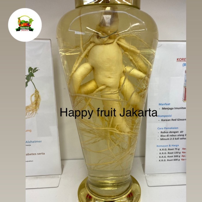 

Korean Red Ginseng Root Fresh original botol premium 600gr