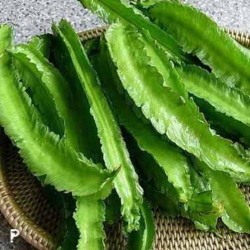 

Kecipir / Cipir 500gr – Sayuran Segar yang Bergizi