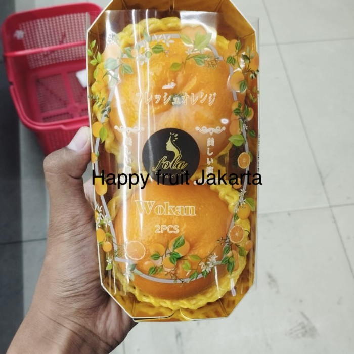 

Jeruk wokam jumbo super | fola wokam jeruk manis fresh pack 2 pcs