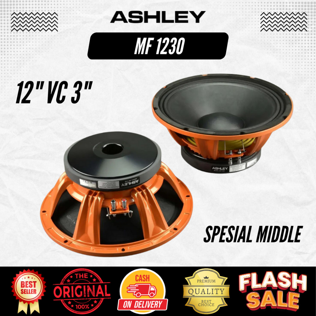 Speaker 12 Inchi Ashley MF1230 Vc 3Inchi