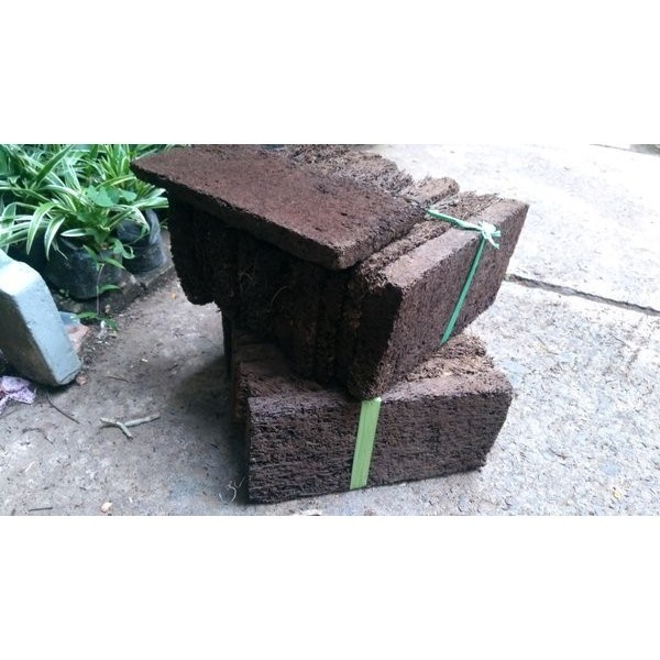 

Extra Herbal Papan Pakis Lempeng Ukuran Bervariasi