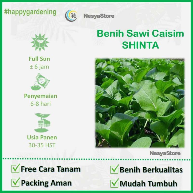 150 Benih Sawi Caisim Sawi Hijau Bibit Benih Sayur Sayuran