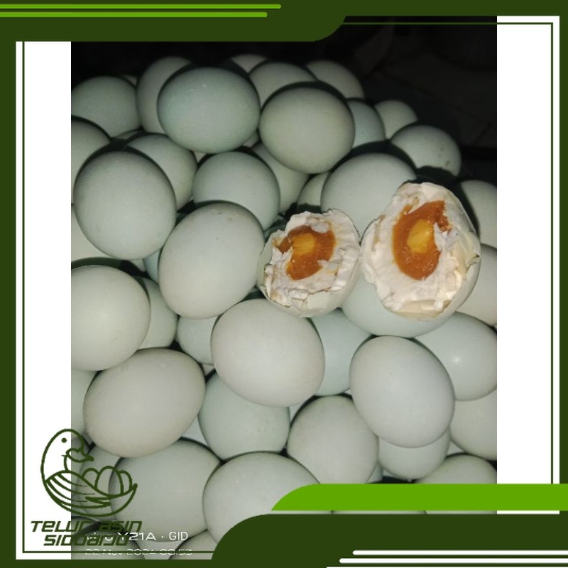 

TELUR ASIN MASIR Sidoarjo