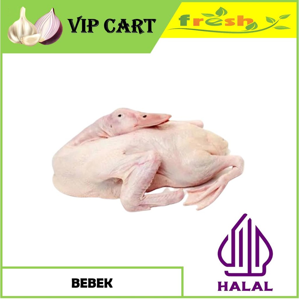 BEBEK PEKING FRESH LANGSUNG POTONG PER EKOR BERAT 1 KG - BEBEK SEGAR