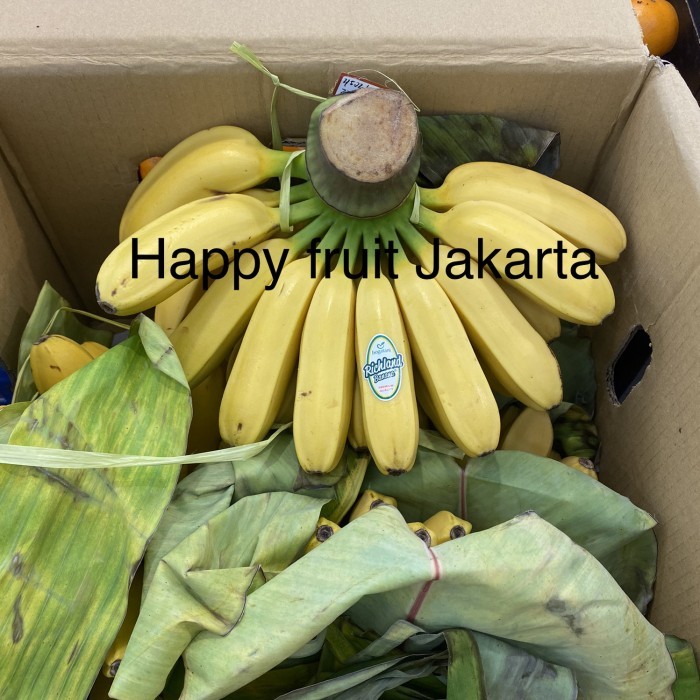 

Pisang kepok australia super premium | Buah pisang australia /sisir