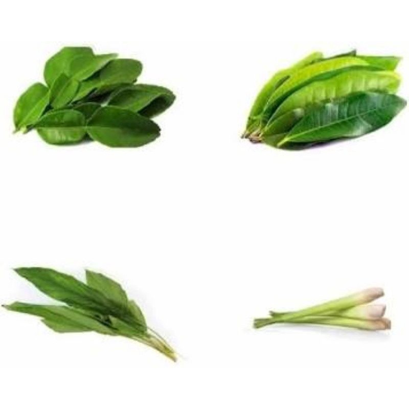 

Daun Jeruk, Salam, Kunyit, & Pandan Fresh