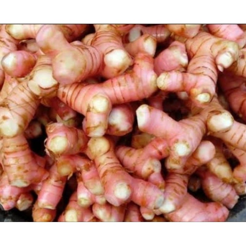 

Laos / Lengkuas Per 500 Gram