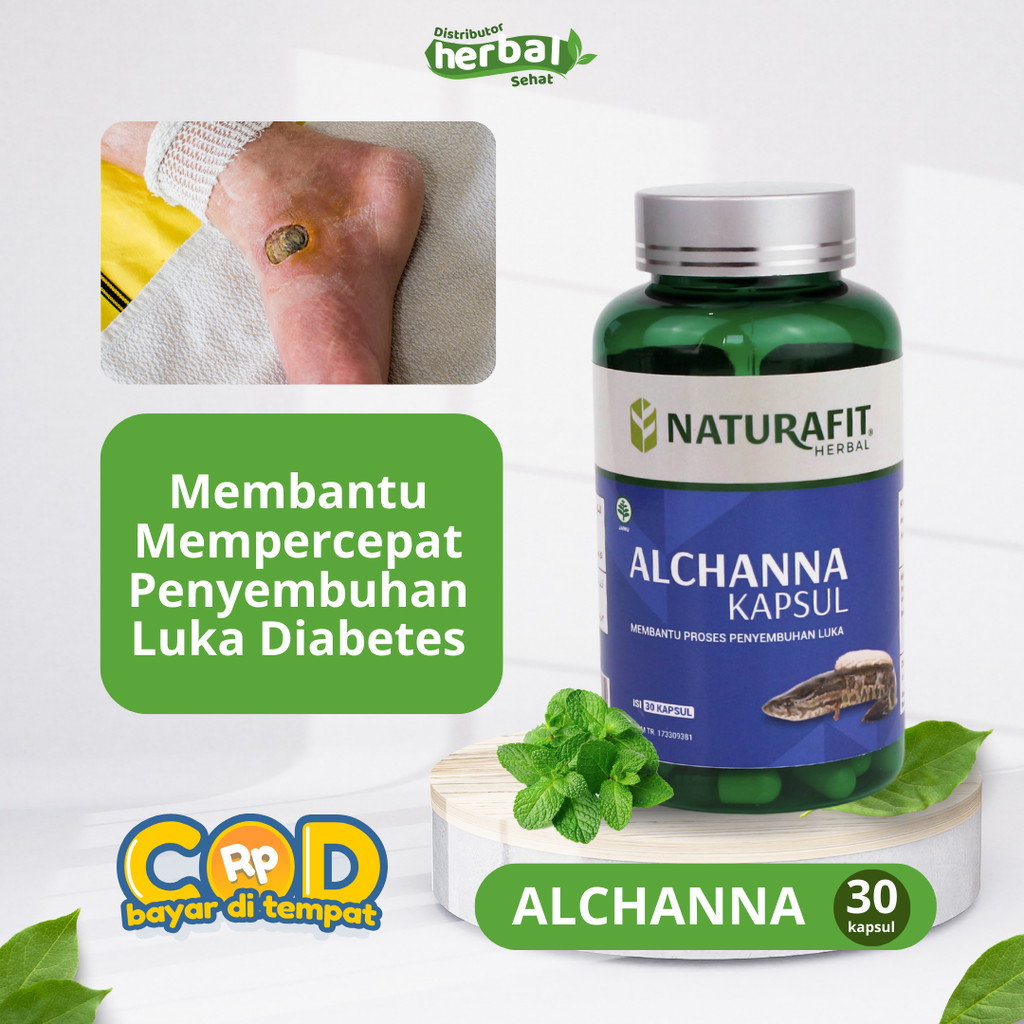 ALCHANNA - Ekstrak Ikan Gabus Untuk Penyembuhan Luka Diabetes Lebih Cepat