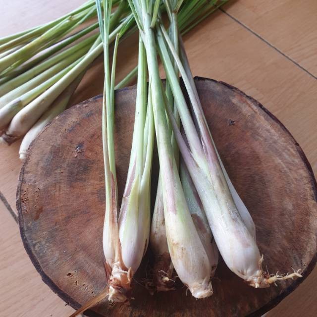 

Karunia_Alamku Sereh Segar Serai Bumbu dan herbal kondisi Fresh