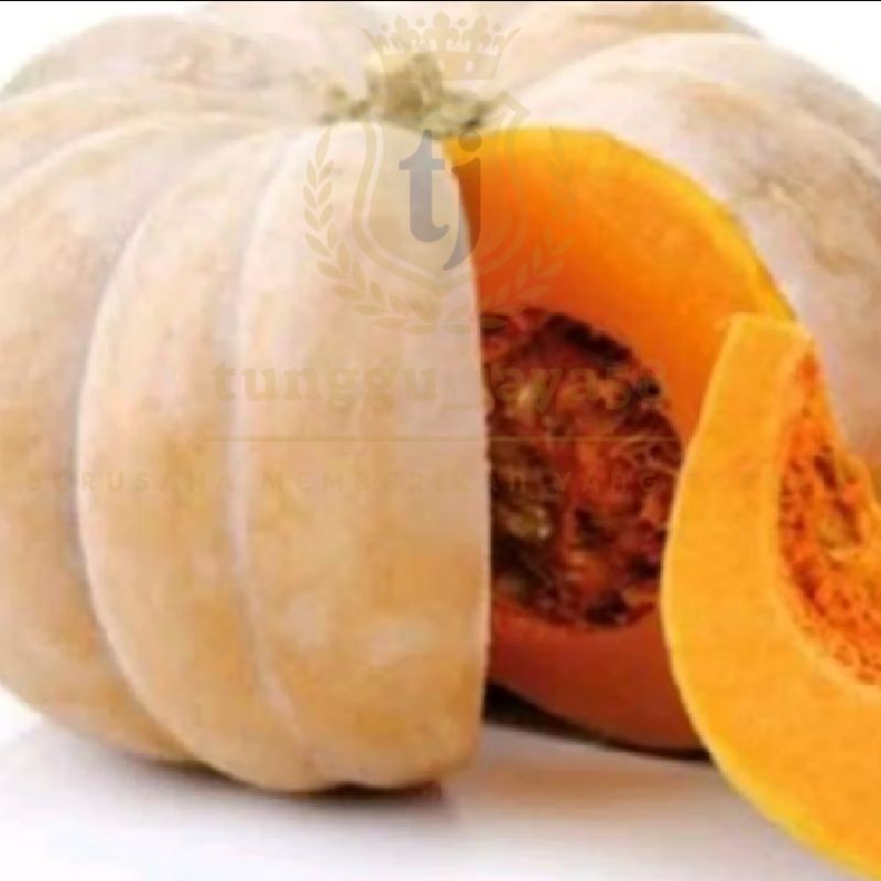 

25 BUTIR LABU KUNING JUMBO LABU WALUH SUPER BESAR