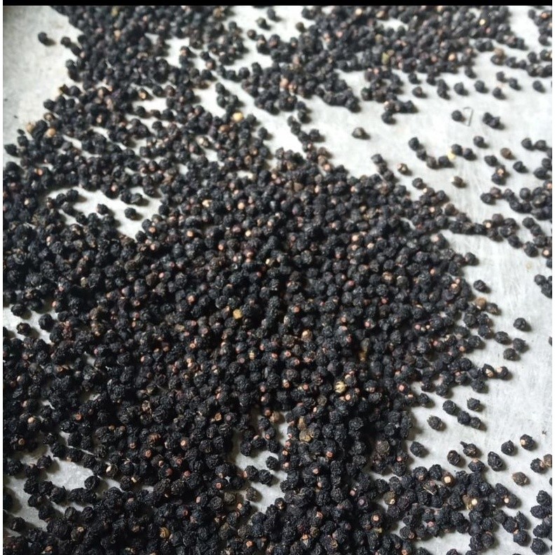 

Promo !!! angkung kering 100 biji