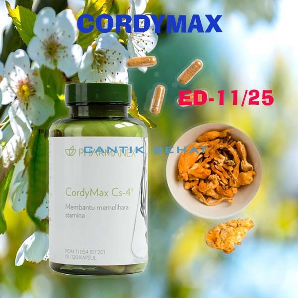 CORDYMAX ASLI