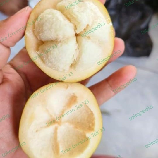 

Buah Kecapi 1 Kg