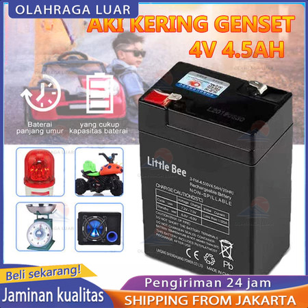 Little Bee 6 volt 4.5 Amper Battery motor mainan anak mobil mobilan Aki Sepeda Listrik Battery 6v 7a