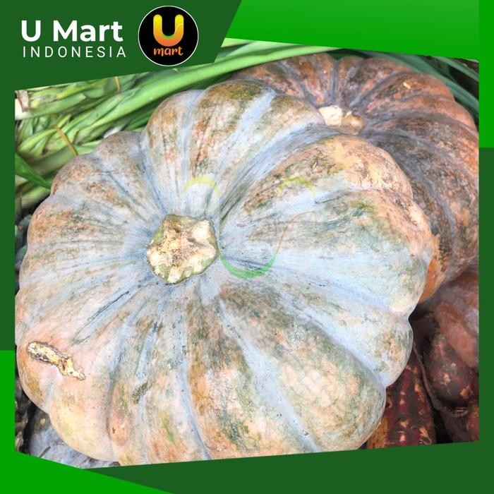 

U Mart - Labu Parang Waluh Kuning 1 Buah ± 2,5 - 4 kg