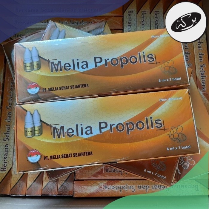 

HDN PROPOLIS MELIA 6 ML