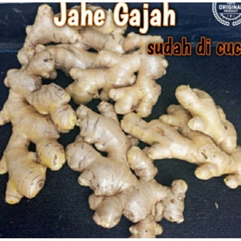 

jahe gajah segar sudah di cuci 250 gram