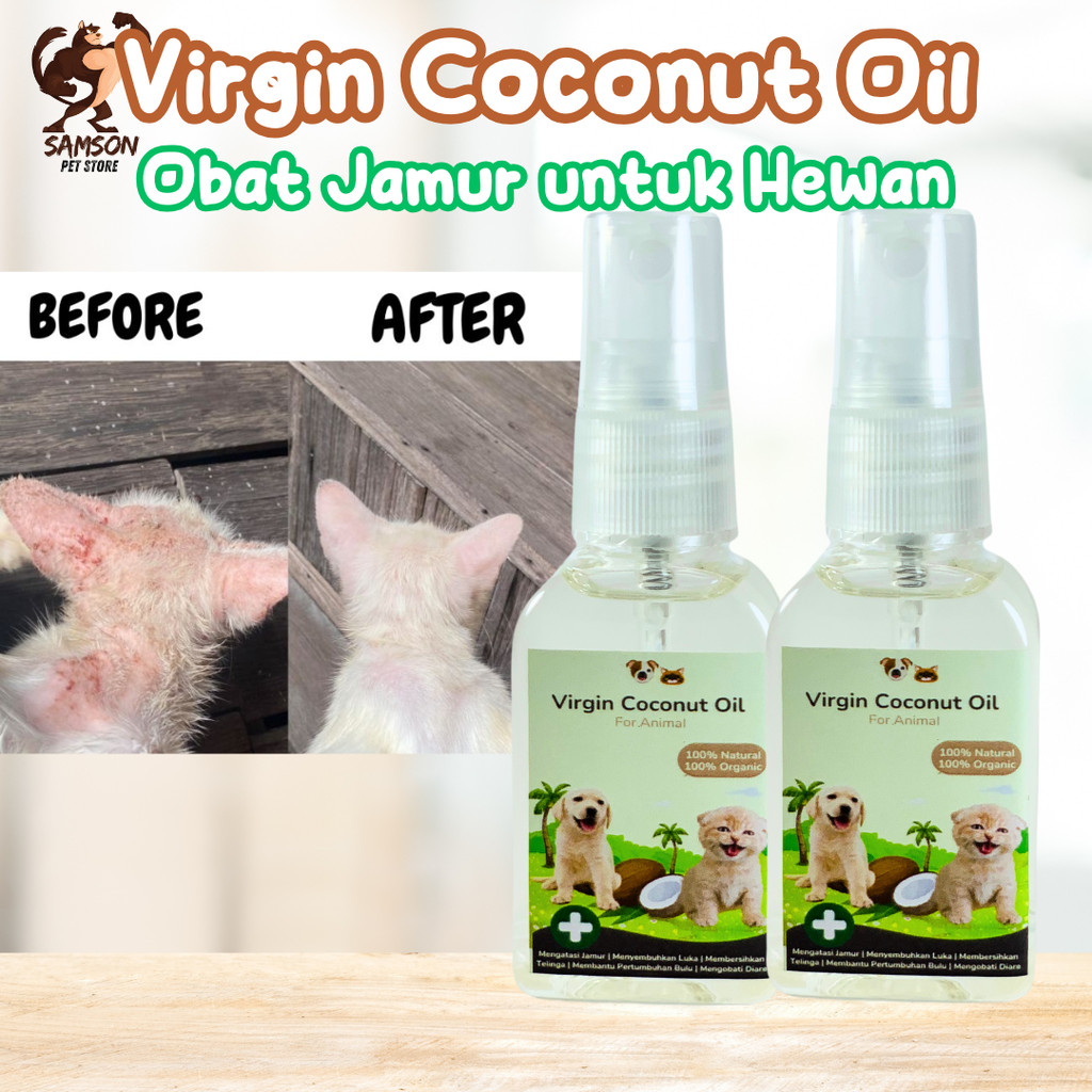 [GROSIR] VCO MURNI 100% 30ML MENGOBATI SCABIES JAMUR PADA KUCING | OBAT JAMUR SCABIES UNTUK KUCING A