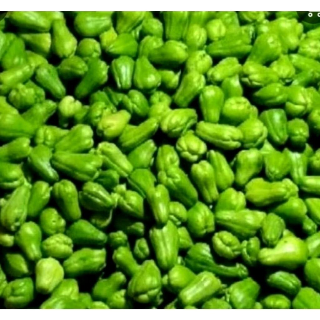 

PROMO baby labu Siam 250gram