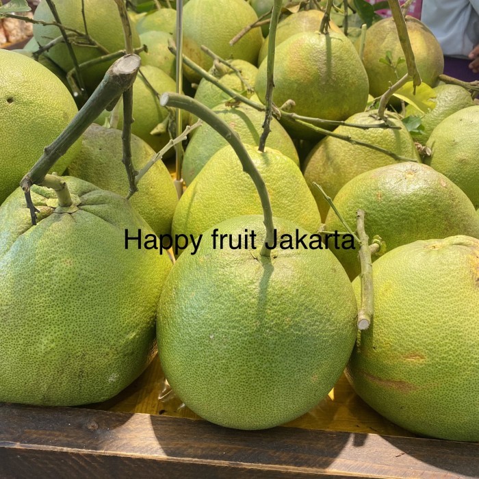 

Jeruk bali tangkai jumbo /pcs
