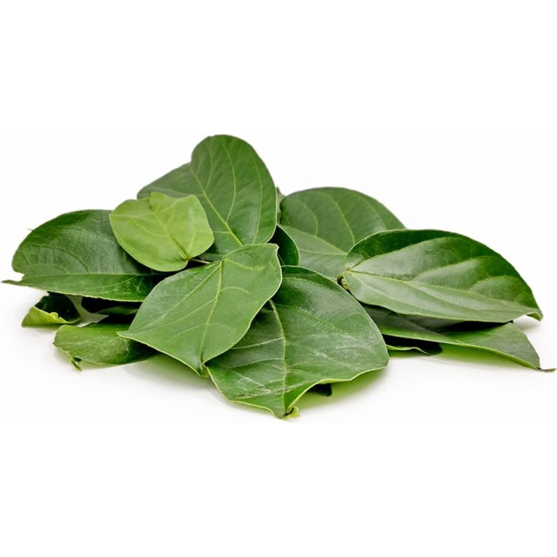 

Termurah Daun cincau 1kg segar