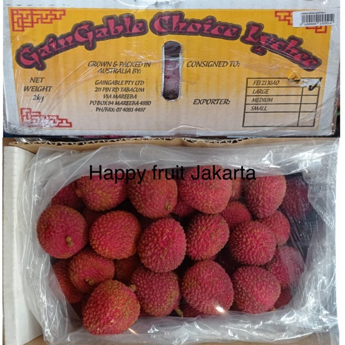 

Lychee fresh premium | Buah leci Australia Box manis 2 kg