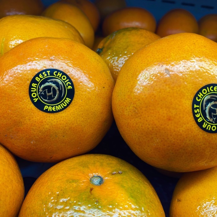 

Super promo Jeruk honey murcot jumbo premium fresh 1 kg