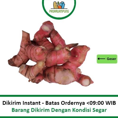 

Lengkuas / Laos 250 Gram Pasar Lampung