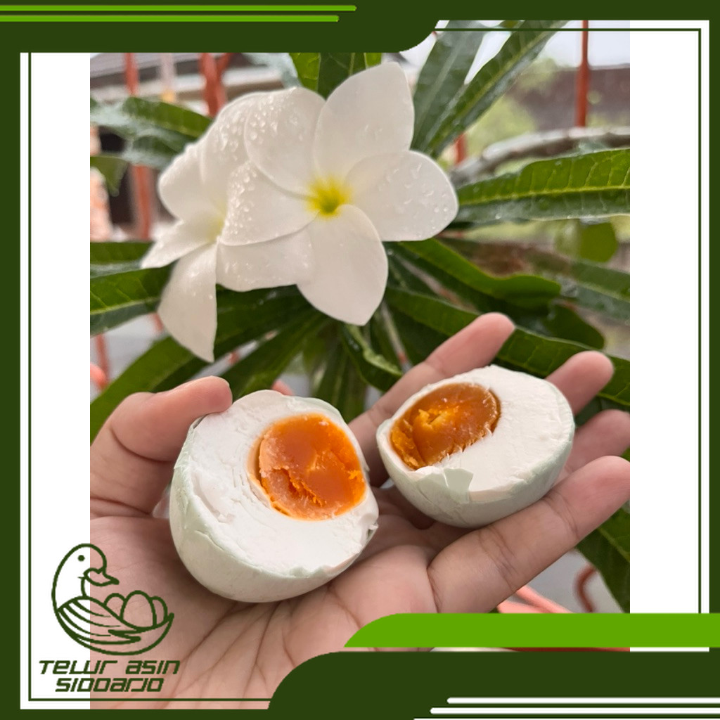 

BEST SELLER HEMAT – Telur Asin Bebek (1 Butir)