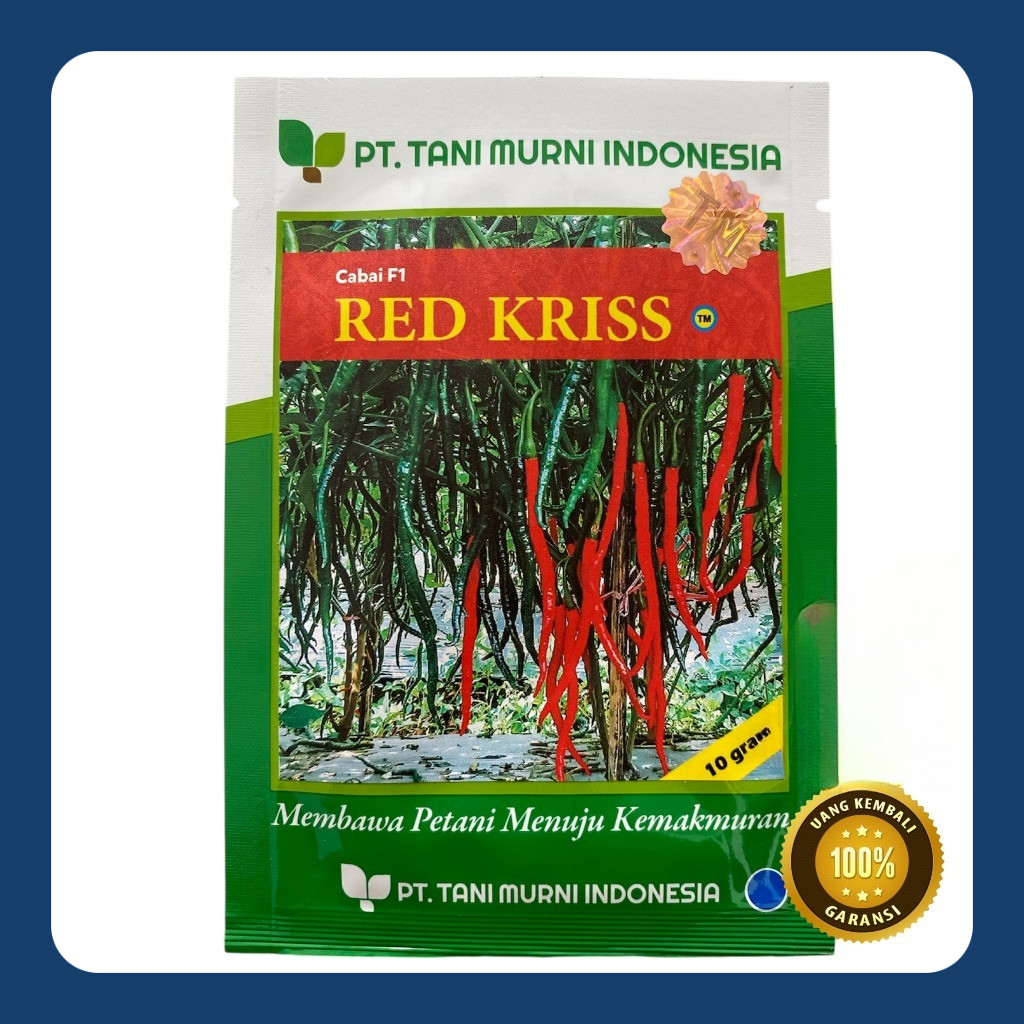 Benih Cabe Keriting F1 RED KRISS 10gram - Benih Cabai Keriting TM RED KRISS