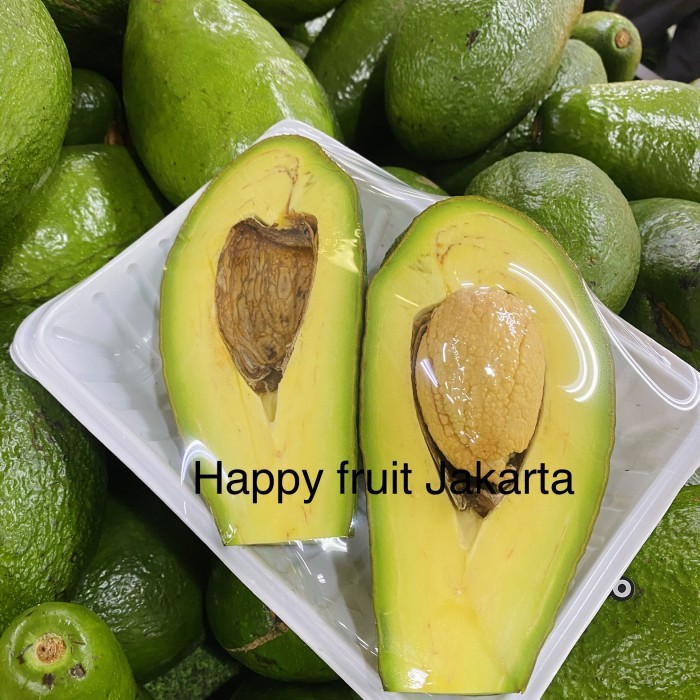 

Promo Alpukat mentega jumbo super 1 kg