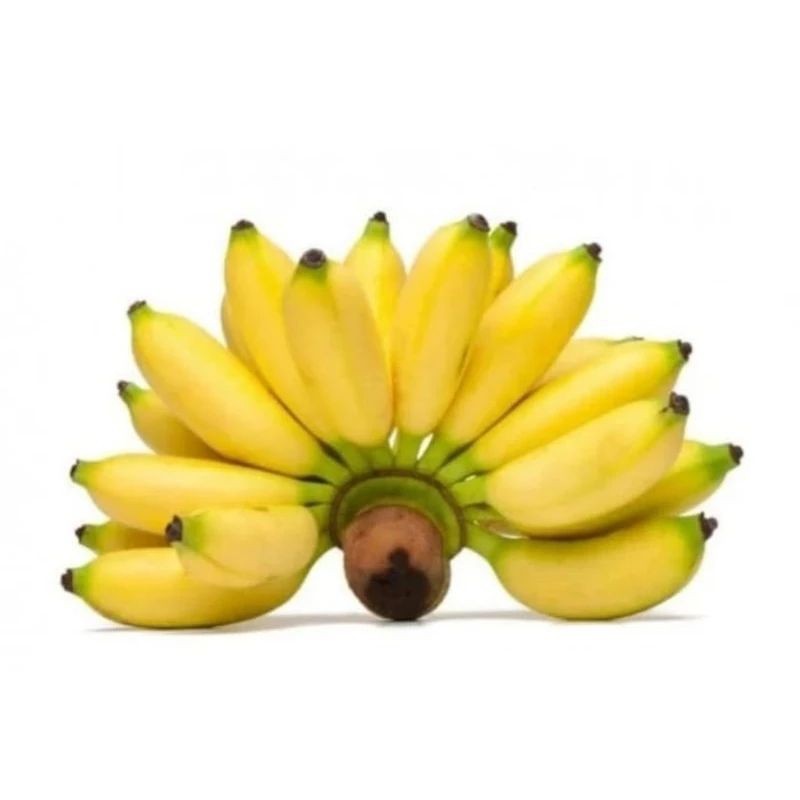 

Pisang Mas – Pisang Manis, Camilan Sehat untuk Anda