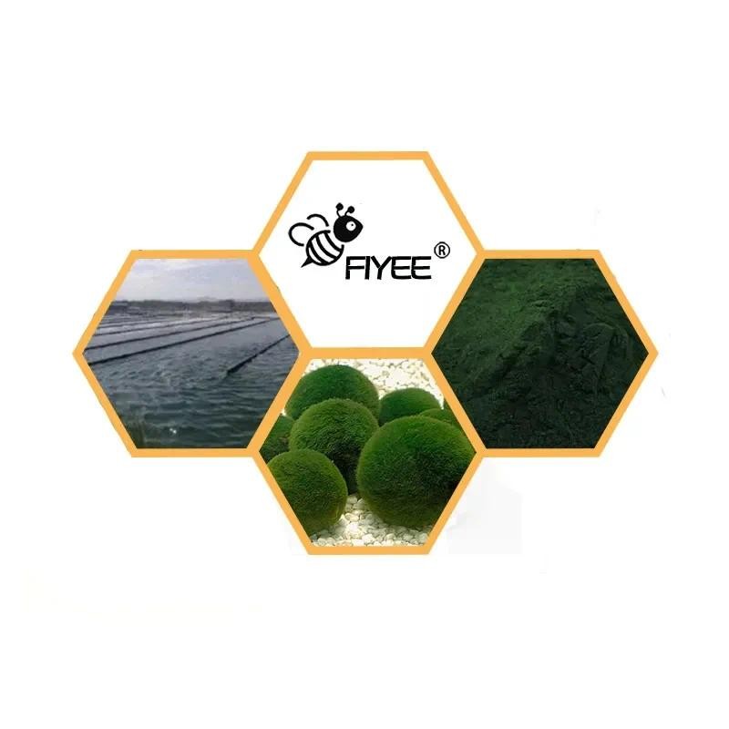 

100-1000g Chlorella