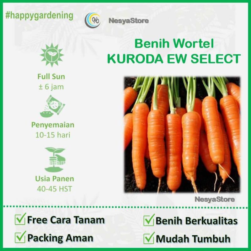 100 Benih Wortel Bibit Wortel - Bibit Benih Sayur Sayuran