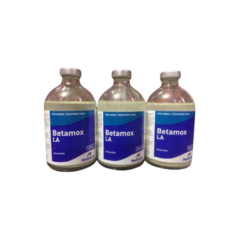 gw42ed BETAMOX LA Inj 100ml