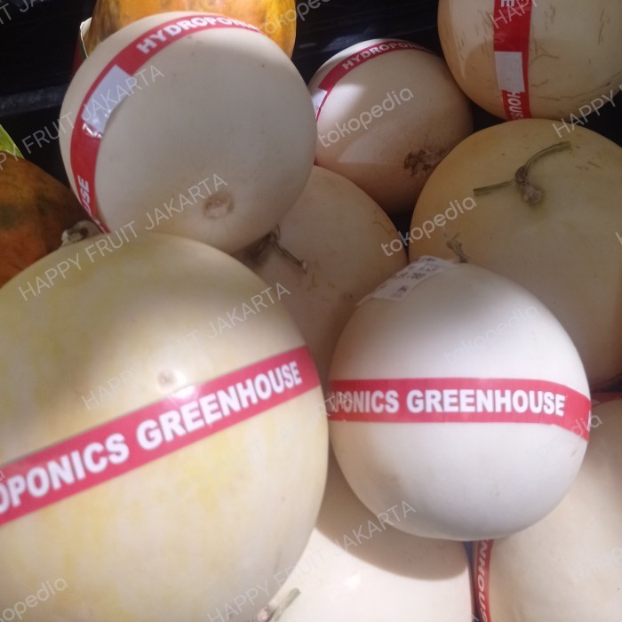 

Melon pearl lady 1.7 kg