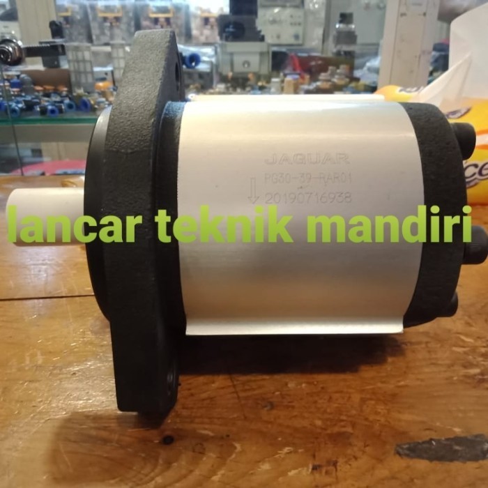 gear pump hydraulic jaguar PG30-30