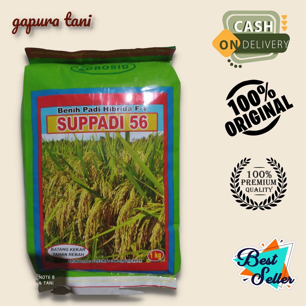 benih padi hibrida SUPPADI 56 F1 original agrosid