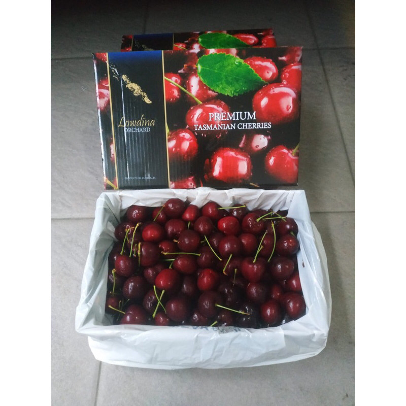 

[FREE KARTU UCAPAN] Cherry Ceri Tasmanian Red Fruit 1 Dus (2 Kg) Fresh Import