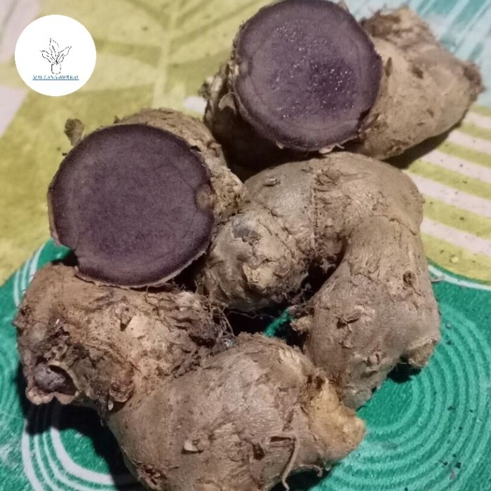 

kunyit hitam/kunyit ungu 1 kg obat herbal