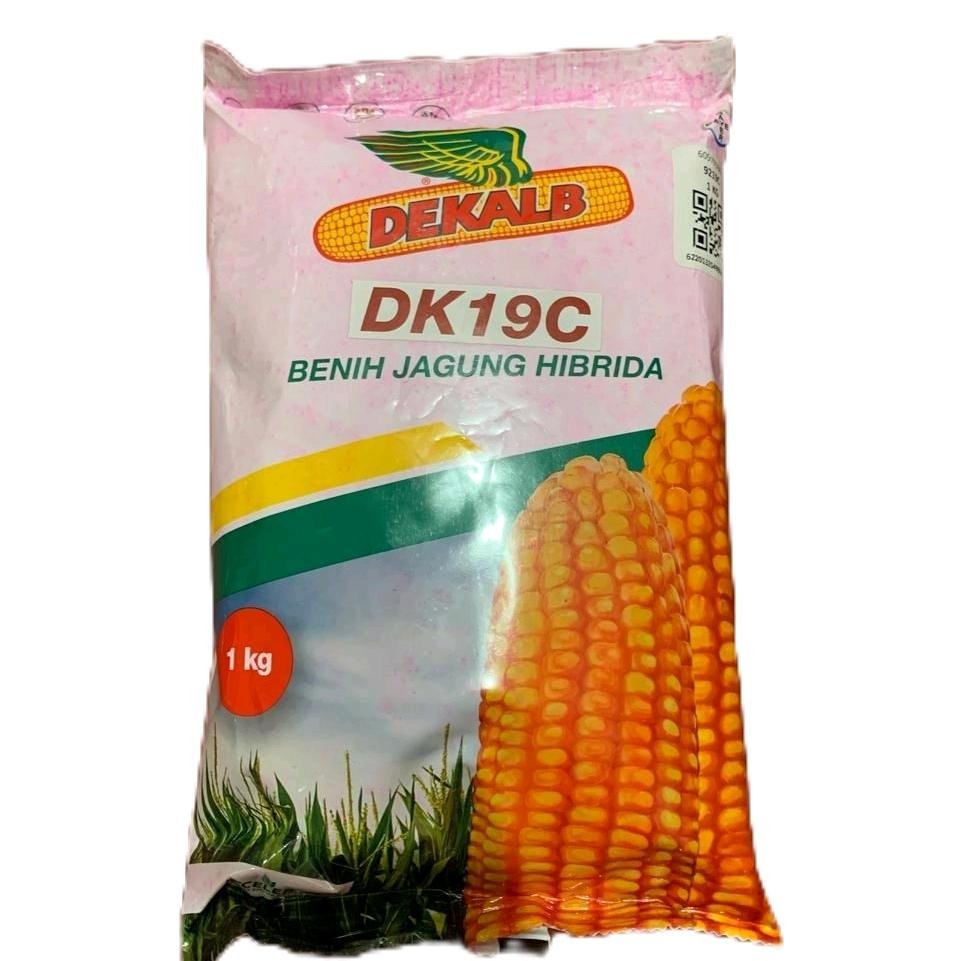 DEKALB DK 19C BENIH JAGUNG HIBRIDA