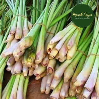 

Sereh Serai Segar Wangi 250 Gram
