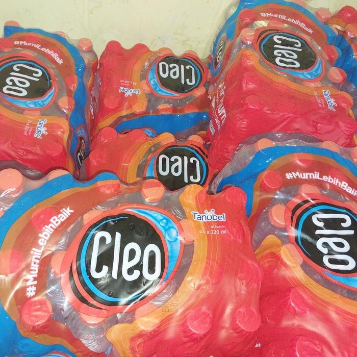 

CLEO Air Mineral (220ml × 24) /krat